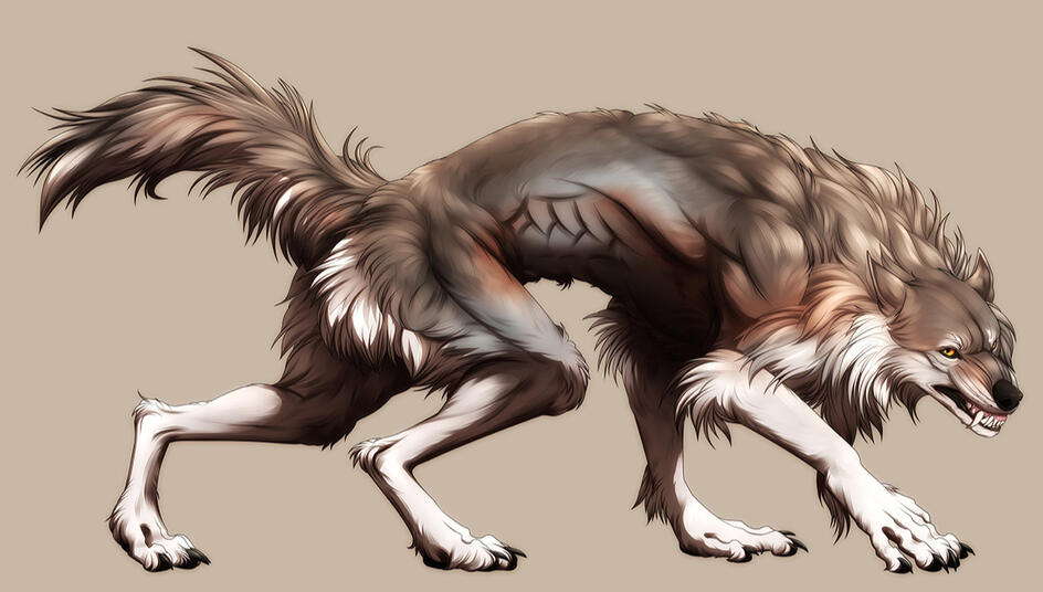 Fullbody without background